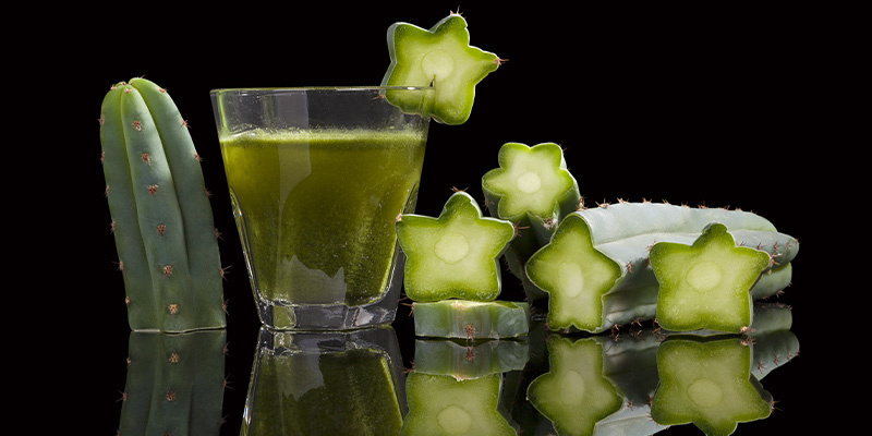 San Pedro (Huachuma)